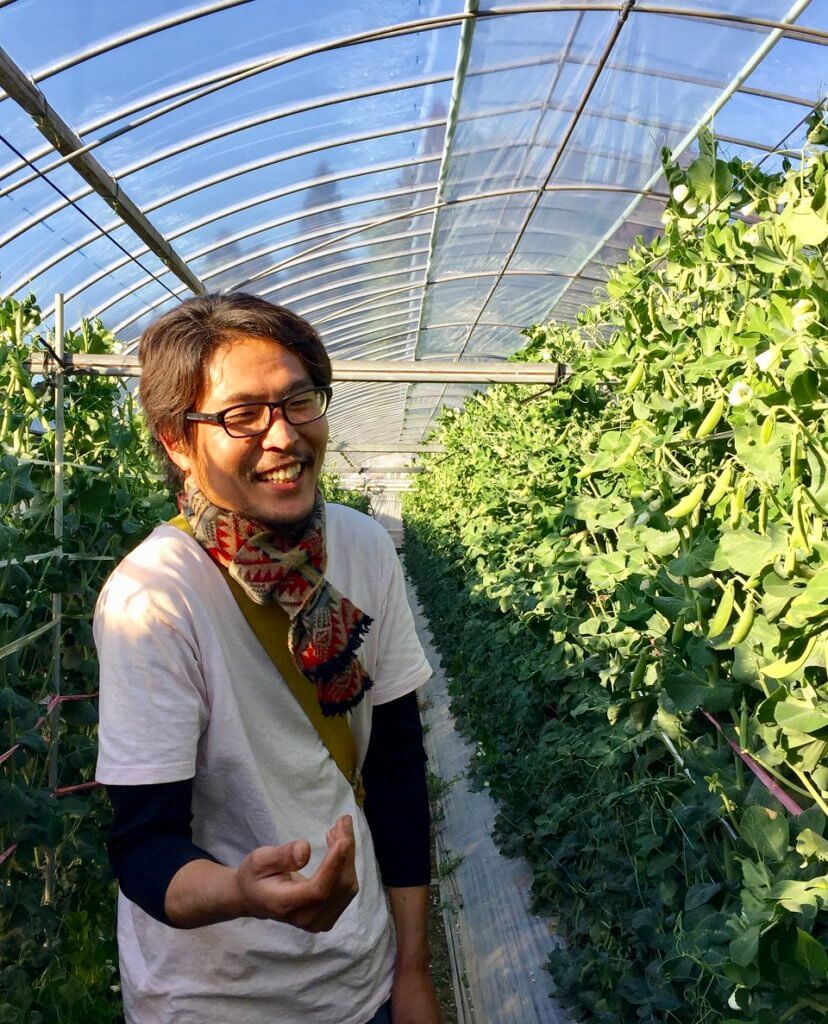 原田さんの極太スナップエンドウ とさちょうものがたり 原田さんの極太スナップエンドウ とさちょうものがたり